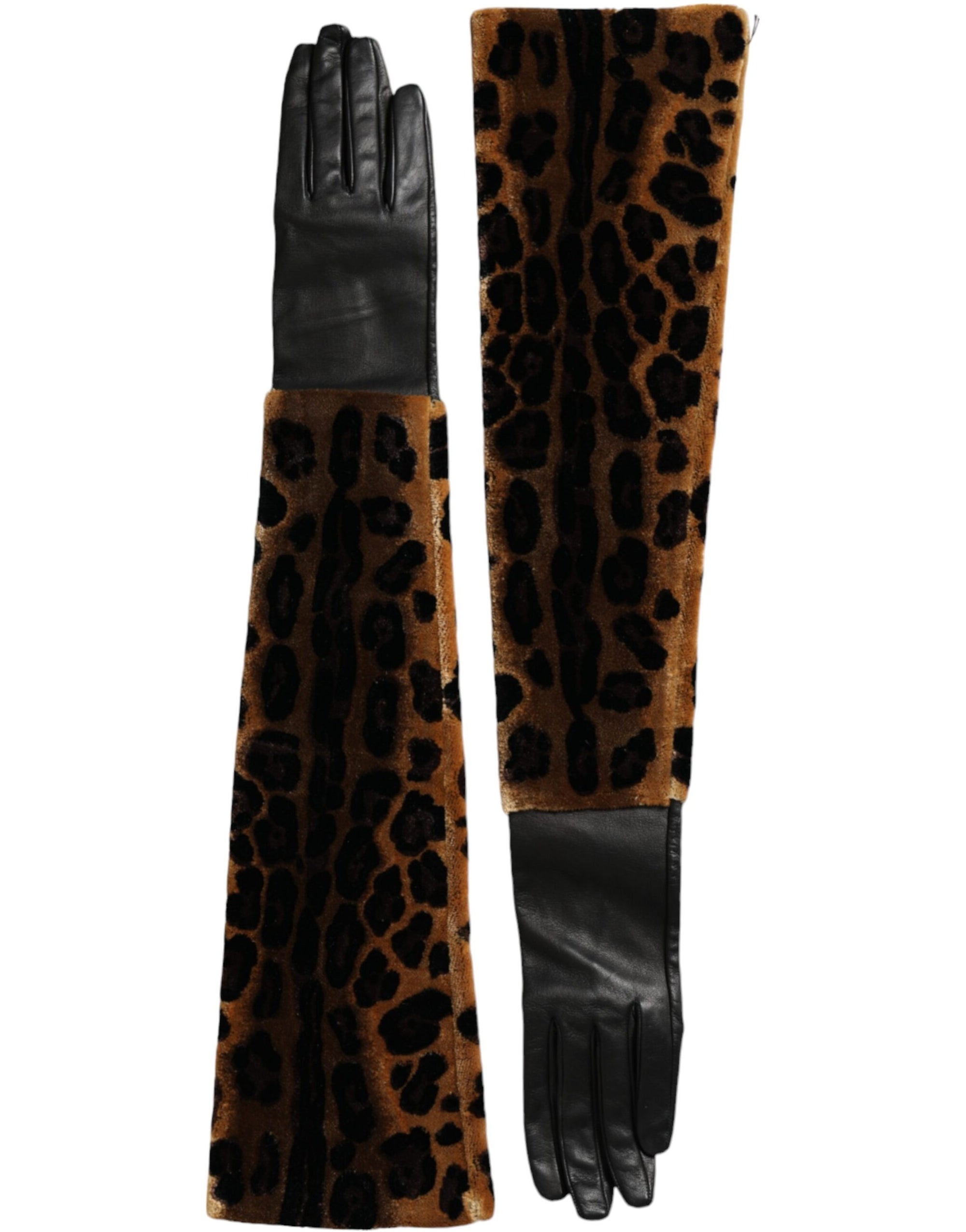 Dolce & Gabbana Leopard Print Leather Elbow Length Gloves