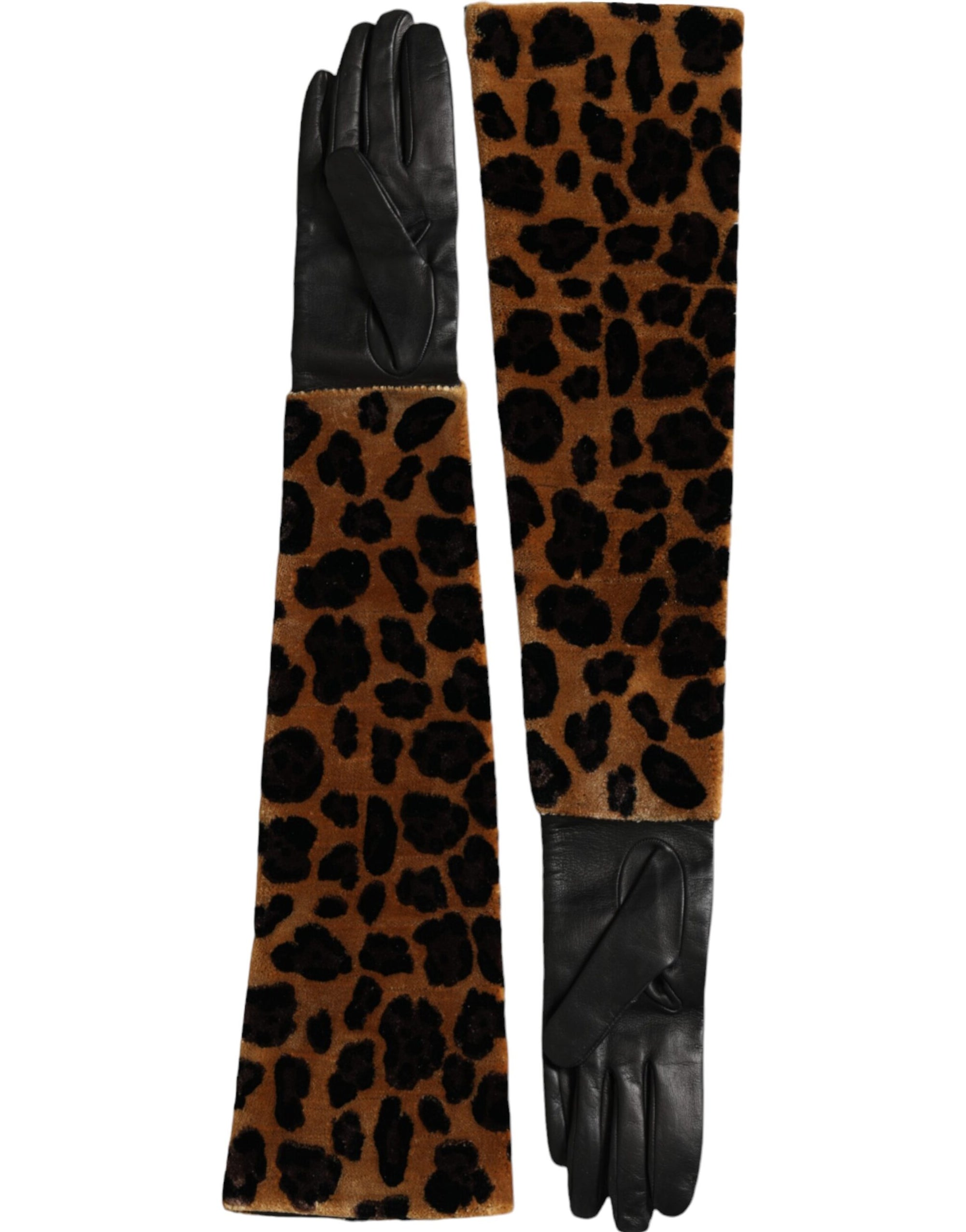 Dolce & Gabbana Leopard Print Leather Elbow Length Gloves